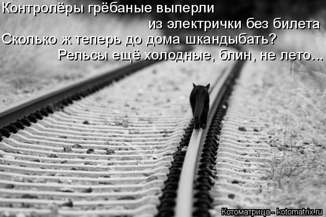 Котоматрица: Контролёры грёбаные выперли из электрички без билета Сколько ж теперь до дома шкандыбать? Рельсы ещё холодные, блин, не лето...