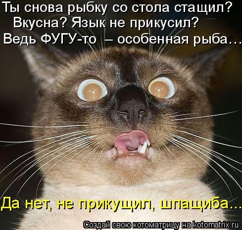Котоматрица: Ты снова рыбку со стола стащил? Вкусна? Язык не прикусил? Ведь ФУГУ-то  – особенная рыба… Да нет, не прикущил, шпащиба...