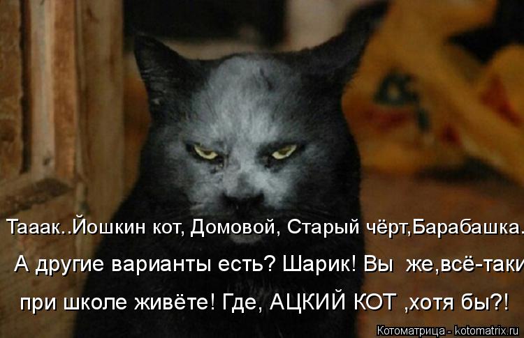 Котоматрица: Тааак..Йошкин кот, Домовой, Старый чёрт,Барабашка..  А другие варианты есть? Шарик! Вы  же,всё-таки при школе живёте! Где, АЦКИЙ КОТ ,хотя бы?!