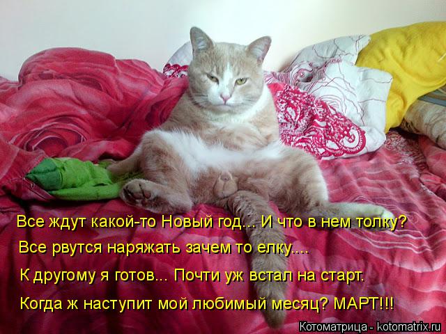 Котоматрица: Все ждут какой-то Новый год... И что в нем толку? Все рвутся наряжать зачем то елку.... К другому я готов... Почти уж встал на старт. Когда ж насту
