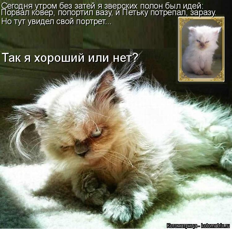 Котоматрица: Сегодня утром без затей я зверских полон был идей: Порвал ковер, попортил вазу, и Петьку потрепал, заразу. Но тут увидел свой портрет... Так я 