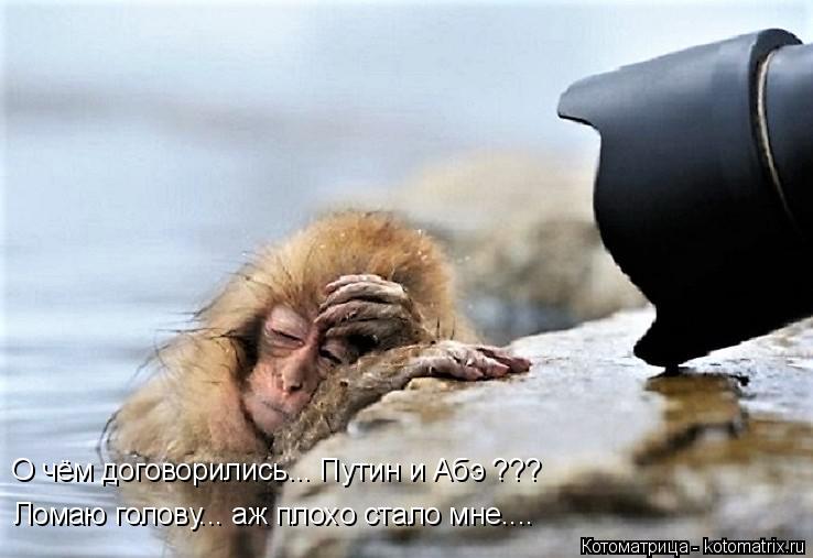 О чём договорились... Путин и Абэ ??? Ломаю голову... аж плохо стало мне....... Котоматрица: О чём договорились... Путин и Абэ ??? Ломаю голову... аж плохо стало мне....