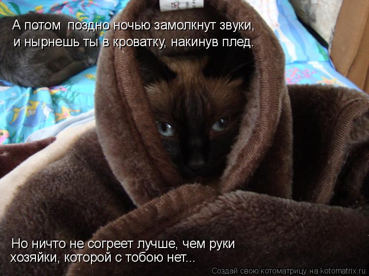 Котоматрица: и нырнешь ты в кроватку, накинув плед. А потом  поздно ночью замолкнут звуки,  Но ничто не согреет лучше, чем руки хозяйки, которой с тобою нет