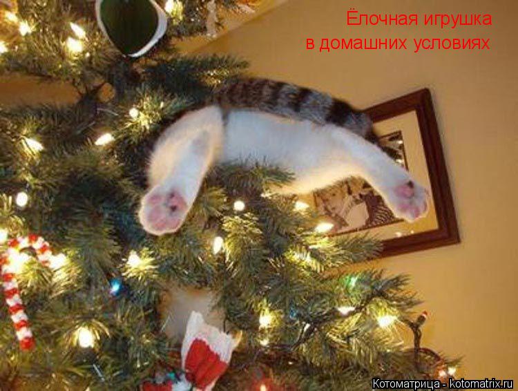 Котоматрица: Ёлочная игрушка в домашних условиях