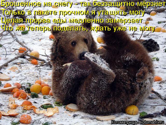 Котоматрица: Брошенное на снегу - так беззащитно мёрзнет Только в пакете прочном я утащить могу Целая прорва еды медленно замерзает Что же теперь подела