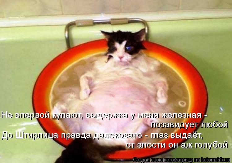 Котоматрица: Не впервой купают, выдержка у меня железная - позавидует любой До Штирлица правда далековато - глаз выдаёт, от злости он аж голубой