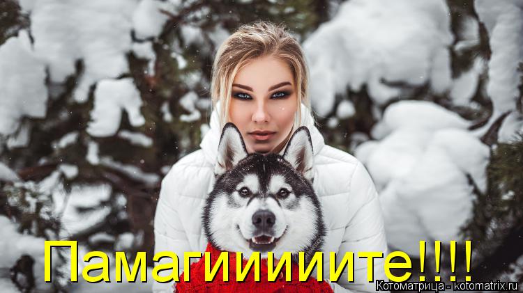 Котоматрица: Памагииииите!!!!