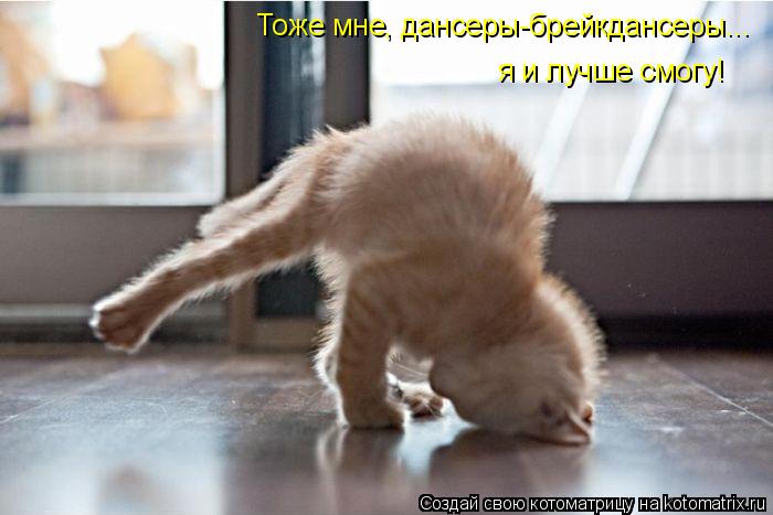 Котоматрица: Тоже мне, дансеры-брейкдансеры... я и лучше смогу!