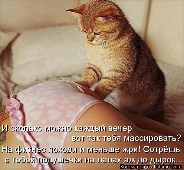 Котоматрица: И сколько можно каждый вечер вот так тебя массировать? На фитнес походи и меньше жри! Сотрёшь с тобой подушечки на лапах аж до дырок...