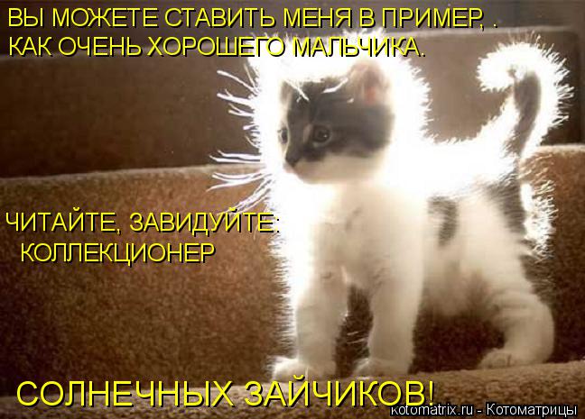 Котоматрица: ВЫ МОЖЕТЕ СТАВИТЬ МЕНЯ В ПРИМЕР, . КАК ОЧЕНЬ ХОРОШЕГО МАЛЬЧИКА. ЧИТАЙТЕ, ЗАВИДУЙТЕ: КОЛЛЕКЦИОНЕР СОЛНЕЧНЫХ ЗАЙЧИКОВ!