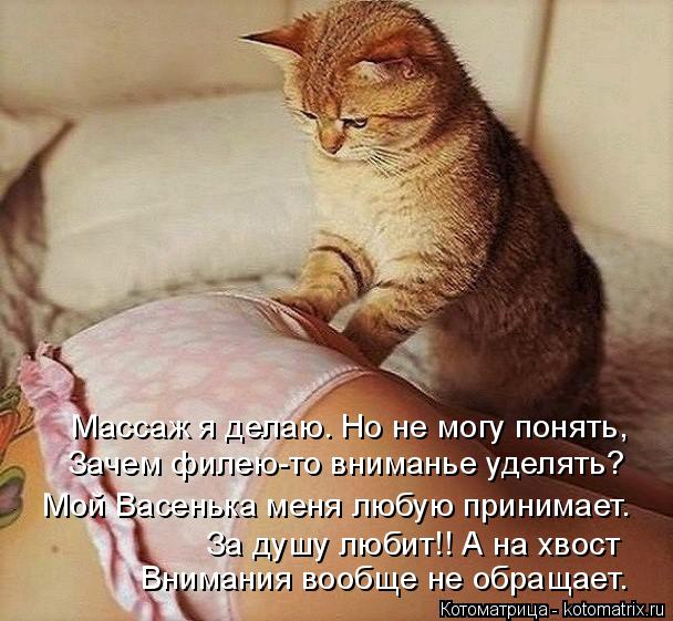 Котоматрица: Массаж я делаю. Но не могу понять, Зачем филею-то вниманье уделять?  Мой Васенька меня любую принимает. За душу любит!! А на хвост Внимания воо