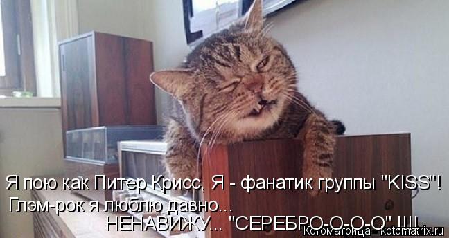 Котоматрица: НЕНАВИЖУ... "СЕРЕБРО-О-О-О" !!!! Я пою как Питер Крисс, Я - фанатик группы "KISS"! Глэм-рок я люблю давно...