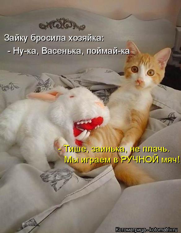 Котоматрица: Зайку бросила хозяйка: - Ну-ка, Васенька, поймай-ка - Тише, заинька, не плачь. Мы играем в РУЧНОЙ мяч!