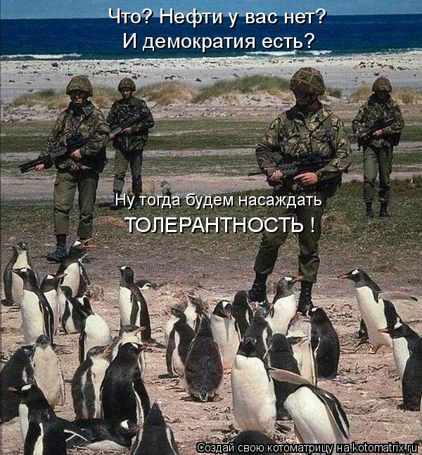 Котоматрица: Что? Нефти у вас нет? И демократия есть? Ну тогда будем насаждать ТОЛЕРАНТНОСТЬ !