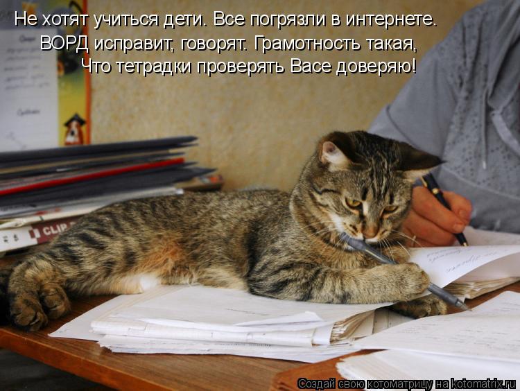 Котоматрица: Не хотят учиться дети. Все погрязли в интернете. ВОРД исправит, говорят. Грамотность такая, Что тетрадки проверять Васе доверяю!