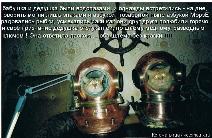 Котоматрица: бабушка и дедушка были водолазами, и однажды встретились - на дне, радовались рыбки, усмехались раки как они друг друга полюбили горячо гово