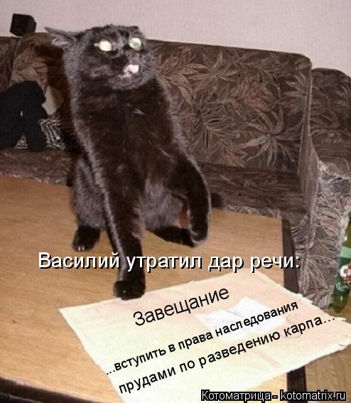 Котоматрица: прудами по разведению карпа... Завещание ...вступить в права наследования Василий утратил дар речи: