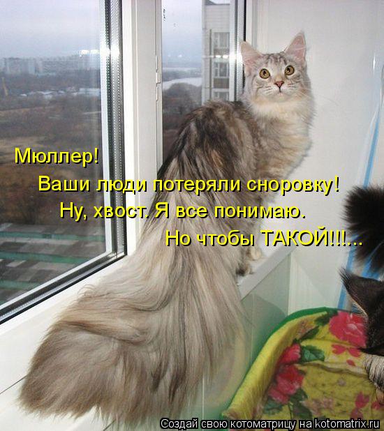 Котоматрица: Ну, хвост. Я все понимаю. Мюллер!  Ваши люди потеряли сноровку! Но чтобы ТАКОЙ!!!...