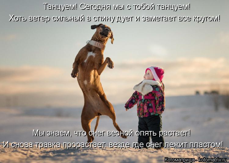 Котоматрица: Танцуем! Сегодня мы с тобой танцуем! Хоть ветер сильный в спину дует и заметает все кругом! И снова травка прорастает, везде где снег лежит п