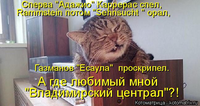 Котоматрица: Сперва "Адажио" Каррерас спел, Rammstein потом "Sehnsucht " орал,  Газманов "Есаула"  проскрипел. А где любимый мной  "Владимирский централ"?!