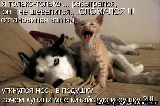 Котоматрица: я только-только ... разыгрался, он - не шевелится....СЛОМАЛСЯ !!! остановился взгляд..  уткнулся нос.. в подушку... зачем купили мне китайскую игру