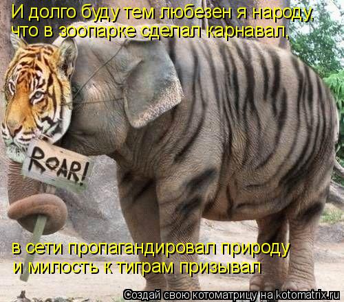 Котоматрица: И долго буду тем любезен я народу,  что в зоопарке сделал карнавал,  в сети пропагандировал природу и милость к тиграм призывал