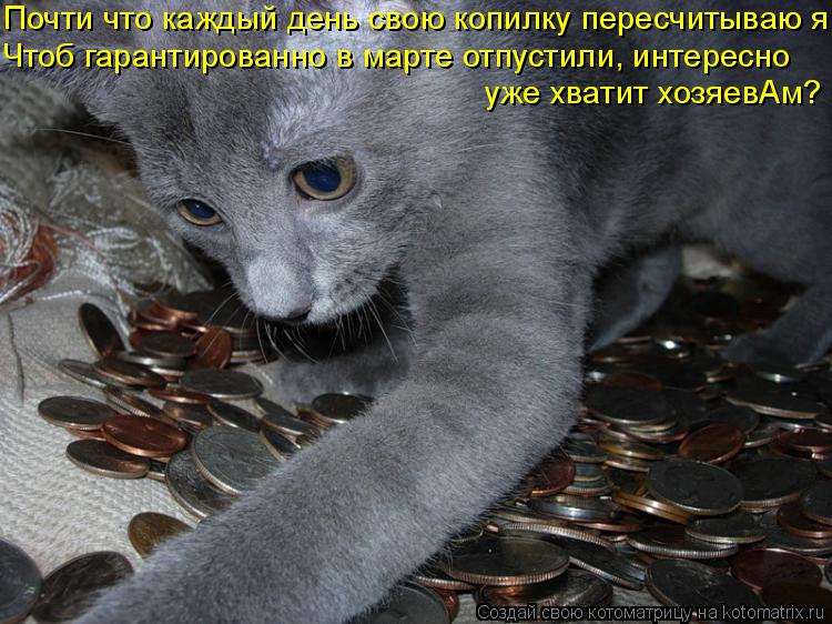 Котоматрица: Почти что каждый день свою копилку пересчитываю я  Чтоб гарантированно в марте отпустили, интересно уже хватит хозяевАм?