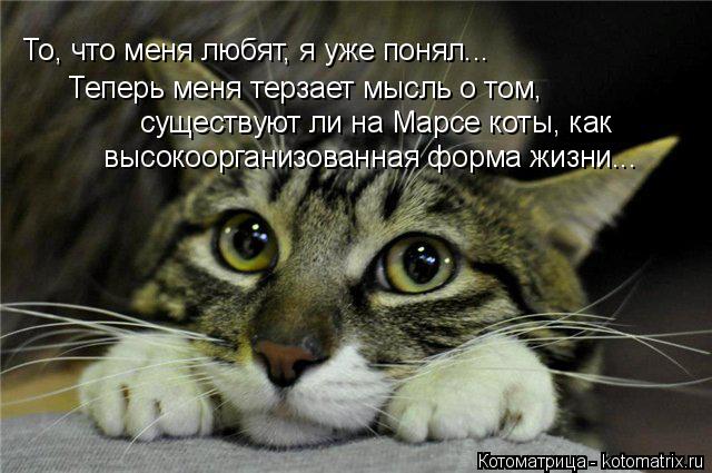 Котоматрица: То, что меня любят, я уже понял... Теперь меня терзает мысль о том, существуют ли на Марсе коты, как высокоорганизованная форма жизни...