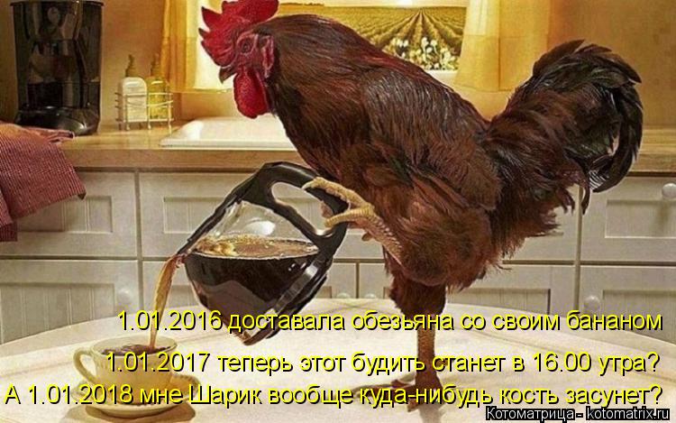 Котоматрица: 1.01.2016 доставала обезьяна со своим бананом 1.01.2017 теперь этот будить станет в 16.00 утра? А 1.01.2018 мне Шарик вообще куда-нибудь кость засунет?