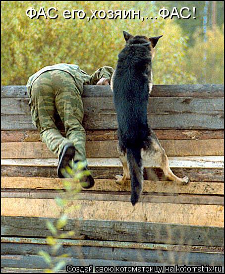ФАС его,хозяин,...ФАС!... Котоматрица: ФАС его,хозяин,...ФАС!