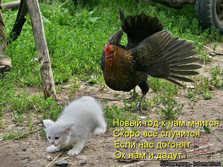 Котоматрица: Новый год к нам мчится, Скоро всё случится Если нас догонят, Ох нам и дадут...
