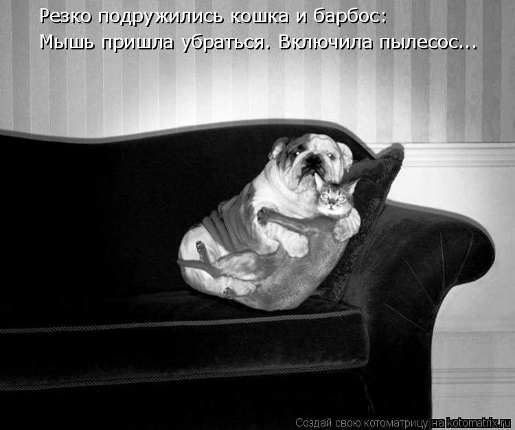 Котоматрица: Резко подружились кошка и барбос: Мышь пришла убраться. Включила пылесос...