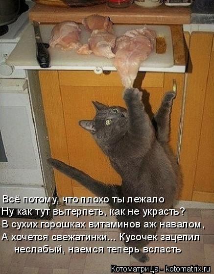 Котоматрица: Всё потому, что плохо ты лежало Ну как тут вытерпеть, как не украсть? В сухих горошках витаминов аж навалом, А хочется свежатинки... Кусочек з