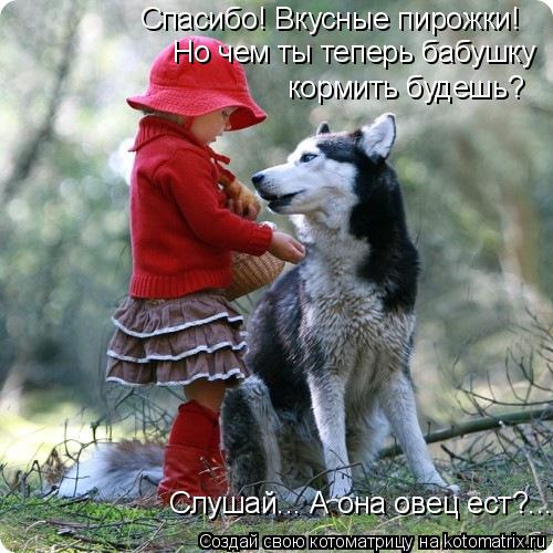 Котоматрица: Спасибо! Вкусные пирожки! Но чем ты теперь бабушку  кормить будешь? Слушай... А она овец ест?...