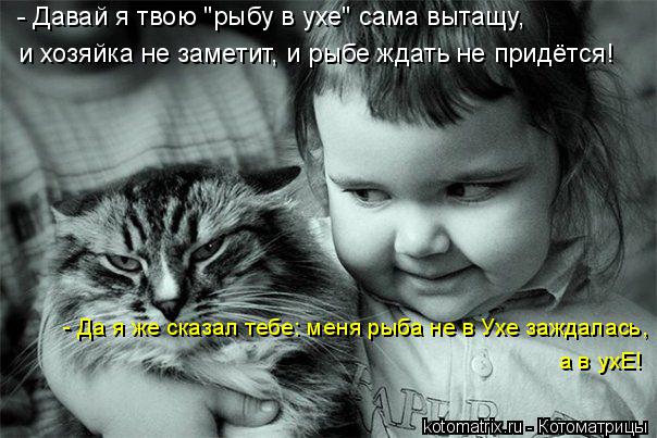 Котоматрица: и хозяйка не заметит, и рыбе ждать не придётся! - Давай я твою "рыбу в ухе" сама вытащу, - Да я же сказал тебе: меня рыба не в Ухе заждалась, а в ух