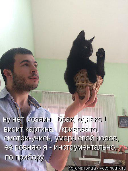 Котоматрица: ну нет, хозяин...брак, однако ! висит картина... кривовато, смотри-учись, умерь свой норов, её ровняю я - инструментально, по прибору....