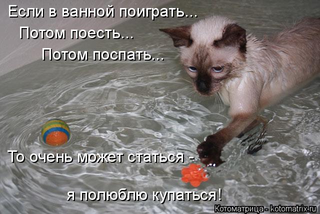 Котоматрица: Если в ванной поиграть... Потом поесть...  Потом поспать... То очень может статься -  я полюблю купаться!