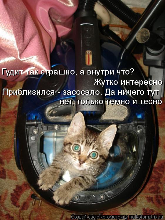 Котоматрица: Гудит так страшно, а внутри что? Жутко интересно Приблизился - засосало. Да ничего тут нет, только темно и тесно
