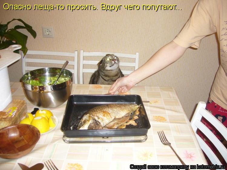 Котоматрица: Опасно леща-то просить. Вдруг чего попутают...