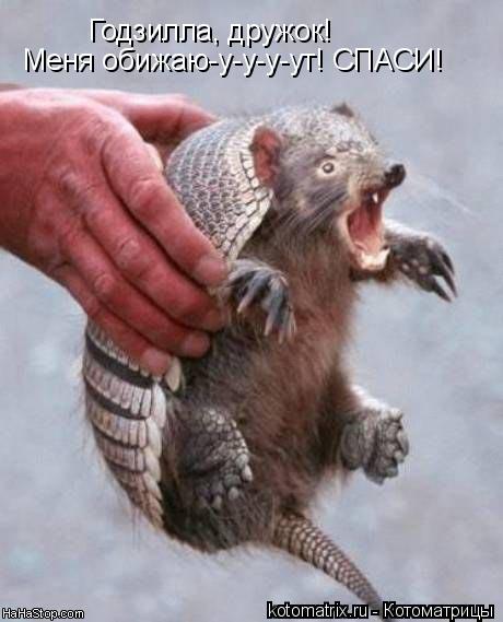 Котоматрица: Годзилла, дружок!  Меня обижаю-у-у-у-ут! СПАСИ!