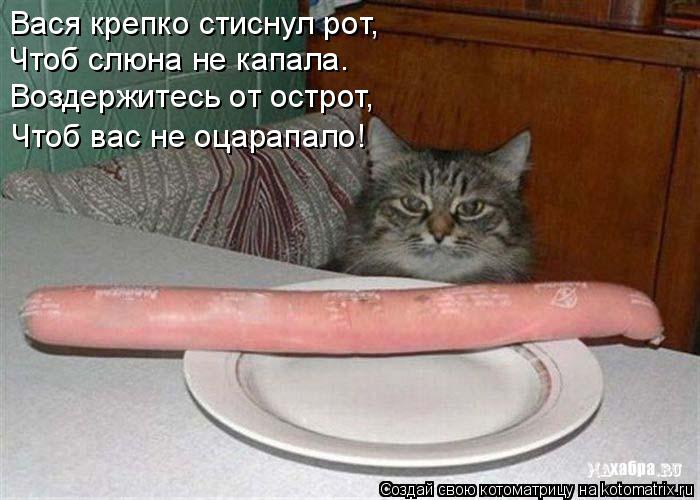 Котоматрица: Вася крепко стиснул рот, Чтоб слюна не капала. Воздержитесь от острот, Чтоб вас не оцарапало!