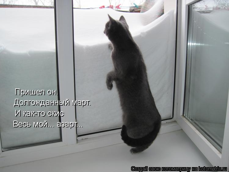 Котоматрица: Долгожданный март. Пришел он.  И как-то скис Весь мой... азарт...