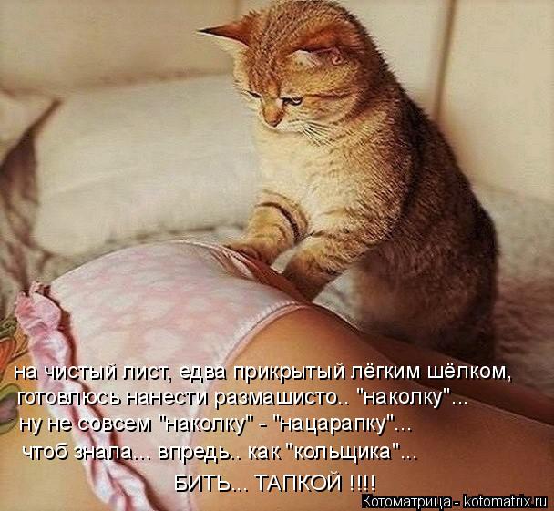 Котоматрица: на чистый лист, едва прикрытый лёгким шёлком, готовлюсь нанести размашисто.. "наколку"... ну не совсем "наколку" - "нацарапку"... чтоб знала... впр
