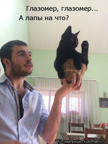 Котоматрица: Глазомер, глазомер... А лапы на что?