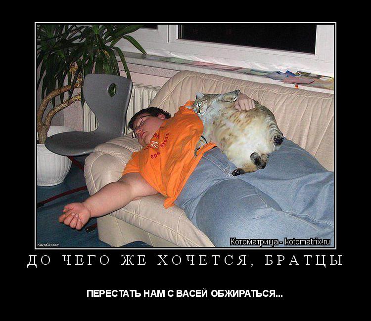 Котоматрица: ДО ЧЕГО ЖЕ ХОЧЕТСЯ, БРАТЦЫ ПЕРЕСТАТЬ НАМ С ВАСЕЙ ОБЖИРАТЬСЯ...