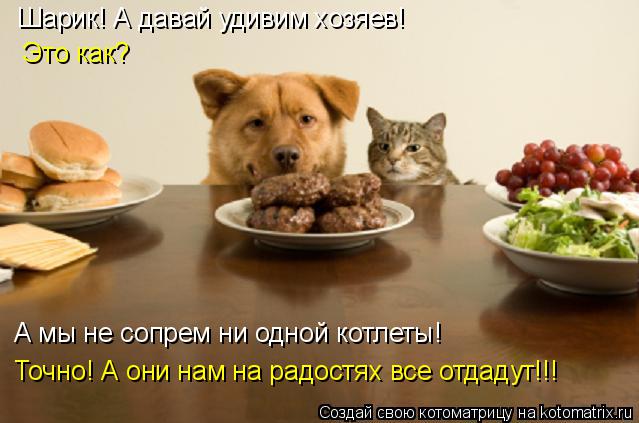 Котоматрица: Шарик! А давай удивим хозяев! Это как? А мы не сопрем ни одной котлеты! Точно! А они нам на радостях все отдадут!!!