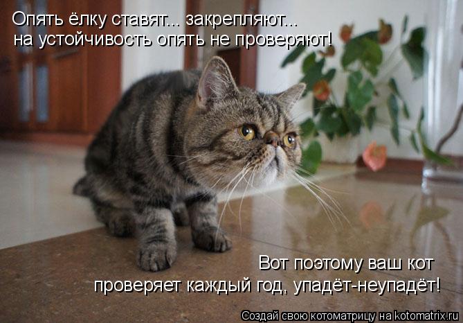 Котоматрица: щ Опять ёлку ставят... закрепляют... на устойчивость опять не проверяют! проверяет каждый год, упадёт-неупадёт! Вот поэтому ваш кот