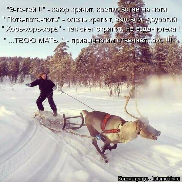 Котоматрица: "Э-ге-гей !!" - каюр кричит, крепко встав на ноги, " Хорь-хорь-хорь" - так снег скрипит, не езда-потеха ! " ...ТВОЮ МАТЬ.." - привычно им отвечает...эхо !!