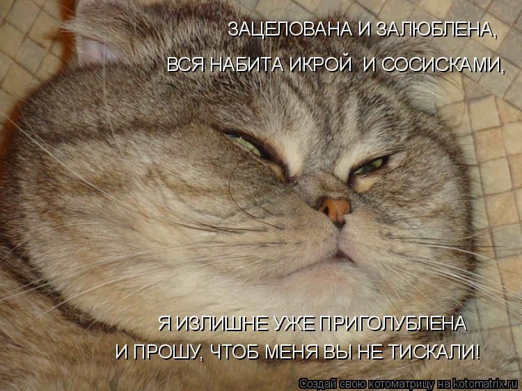 Котоматрица: ВСЯ НАБИТА ИКРОЙ  И СОСИСКАМИ, ЗАЦЕЛОВАНА И ЗАЛЮБЛЕНА, Я ИЗЛИШНЕ УЖЕ ПРИГОЛУБЛЕНА И ПРОШУ, ЧТОБ МЕНЯ ВЫ НЕ ТИСКАЛИ!