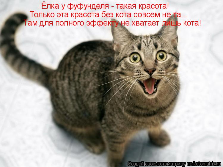 Котоматрица: Ёлка у фуфунделя - такая красота! Только эта красота без кота совсем не та... Там для полного эффекту не хватает лишь кота!